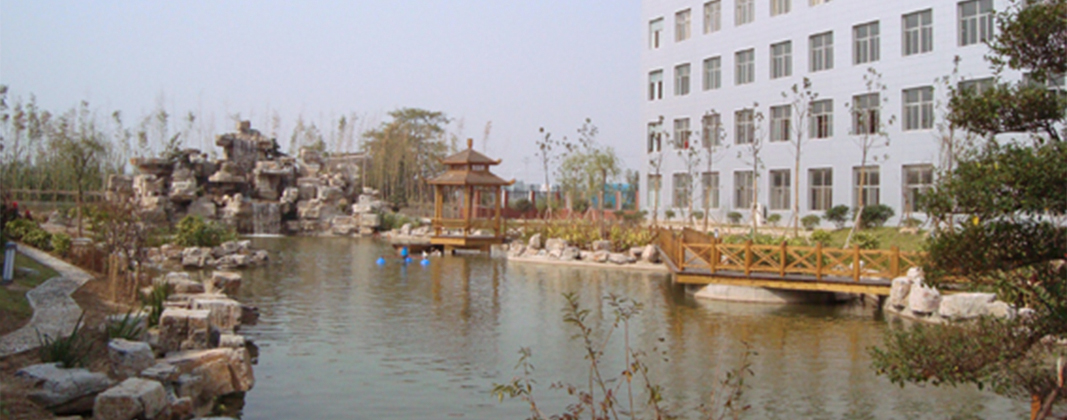 1610326429172349.jpg 1610326429172349.jpg